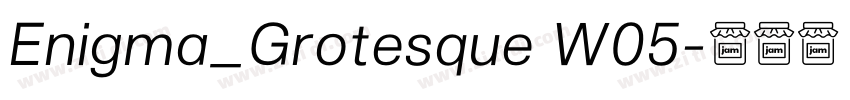 Enigma_Grotesque W05字体转换 Enigma_Grotesque W05字体转换